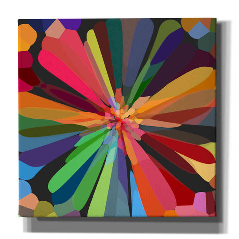 Image of 'Flower 12' by Shandra Smith, Canvas Wall Art,12x12x1.1x0,18x18x1.1x0,26x26x1.74x0,37x37x1.74x0