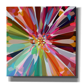 'Flower 16' by Shandra Smith, Canvas Wall Art,12x12x1.1x0,18x18x1.1x0,26x26x1.74x0,37x37x1.74x0
