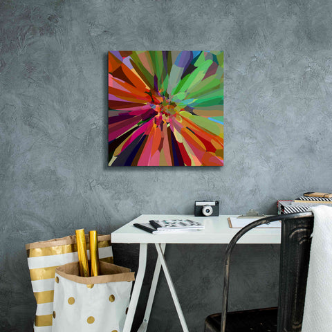 Image of 'Flower 27 ' by Shandra Smith, Canvas Wall Art,18 x 18