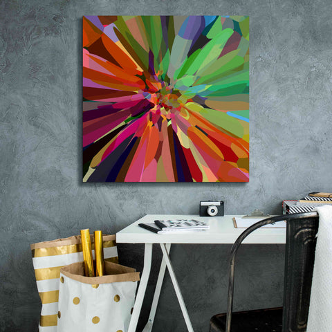 Image of 'Flower 27 ' by Shandra Smith, Canvas Wall Art,26 x 26