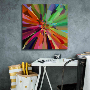 'Flower 27 ' by Shandra Smith, Canvas Wall Art,26 x 26