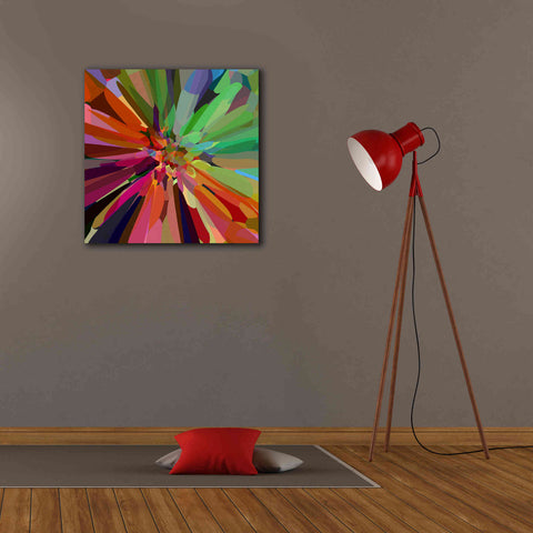 Image of 'Flower 27 ' by Shandra Smith, Canvas Wall Art,26 x 26