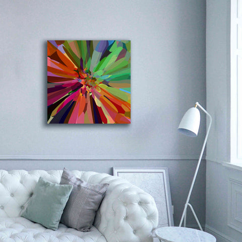 Image of 'Flower 27 ' by Shandra Smith, Canvas Wall Art,37 x 37