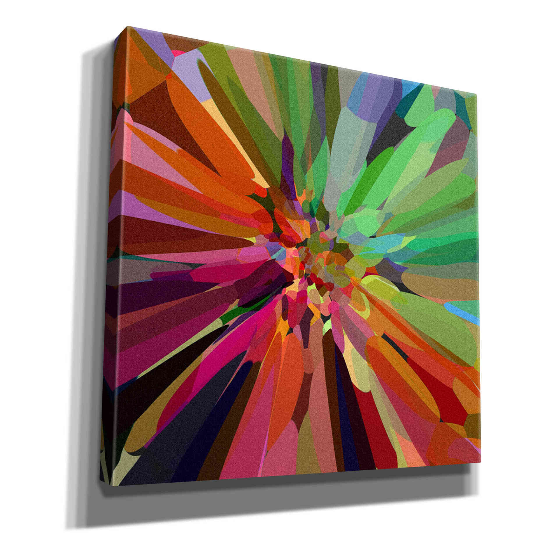 'Flower 27 ' by Shandra Smith, Canvas Wall Art,12x12x1.1x0,18x18x1.1x0,26x26x1.74x0,37x37x1.74x0