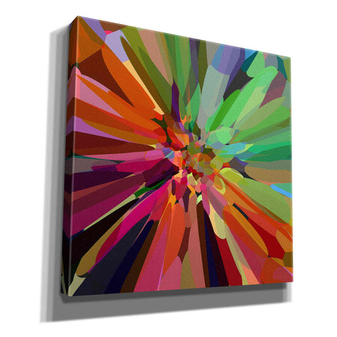 Image of 'Flower 27 ' by Shandra Smith, Canvas Wall Art,12x12x1.1x0,18x18x1.1x0,26x26x1.74x0,37x37x1.74x0
