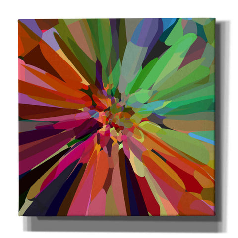 Image of 'Flower 27 ' by Shandra Smith, Canvas Wall Art,12x12x1.1x0,18x18x1.1x0,26x26x1.74x0,37x37x1.74x0