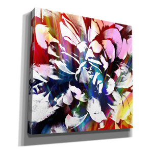 'Flower Power' by Shandra Smith, Canvas Wall Art,12x12x1.1x0,18x18x1.1x0,26x26x1.74x0,37x37x1.74x0