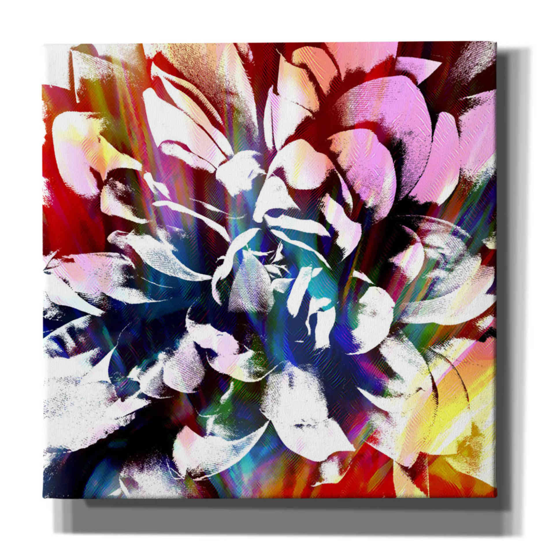 'Flower Power' by Shandra Smith, Canvas Wall Art,12x12x1.1x0,18x18x1.1x0,26x26x1.74x0,37x37x1.74x0