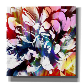 'Flower Power' by Shandra Smith, Canvas Wall Art,12x12x1.1x0,18x18x1.1x0,26x26x1.74x0,37x37x1.74x0