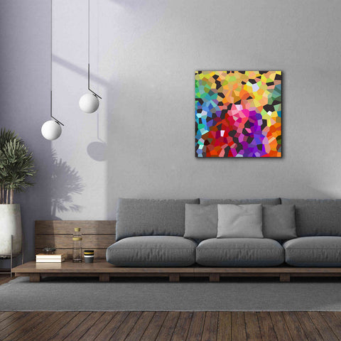 Image of 'Fooling Around' by Shandra Smith, Canvas Wall Art,37 x 37