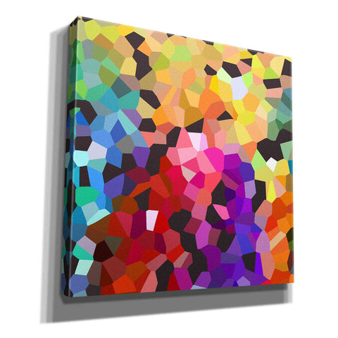 Image of 'Fooling Around' by Shandra Smith, Canvas Wall Art,12x12x1.1x0,18x18x1.1x0,26x26x1.74x0,37x37x1.74x0
