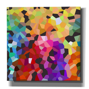 'Fooling Around' by Shandra Smith, Canvas Wall Art,12x12x1.1x0,18x18x1.1x0,26x26x1.74x0,37x37x1.74x0