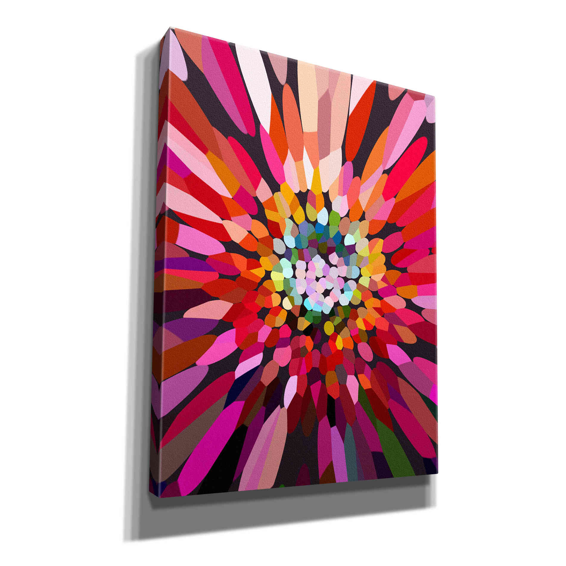 'Pink Flower' by Shandra Smith, Canvas Wall Art,12x16x1.1x0,20x24x1.1x0,26x30x1.74x0,40x54x1.74x0