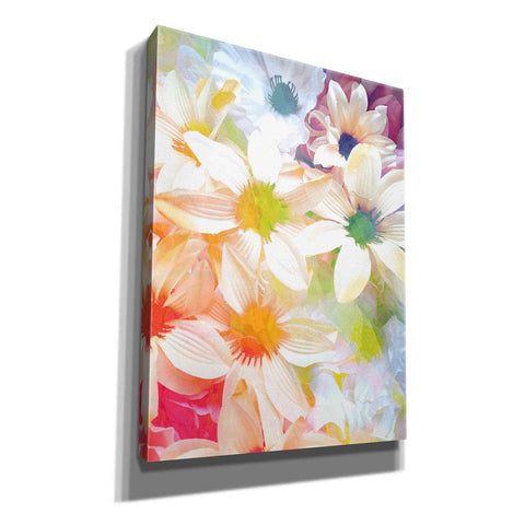 Image of 'Summer Days' by Shandra Smith, Canvas Wall Art,12x16x1.1x0,18x26x1.1x0,26x34x1.74x0,40x54x1.74x0