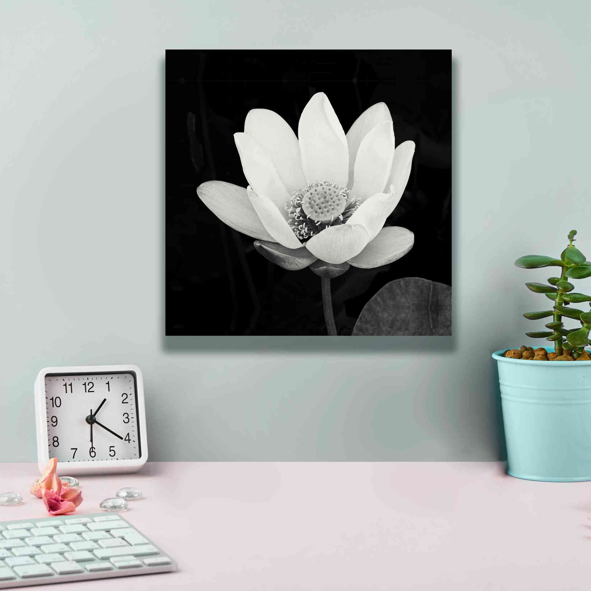 'Lotus Flower I' by Debra Van Swearingen, Canvas Wall Art,12 x 12