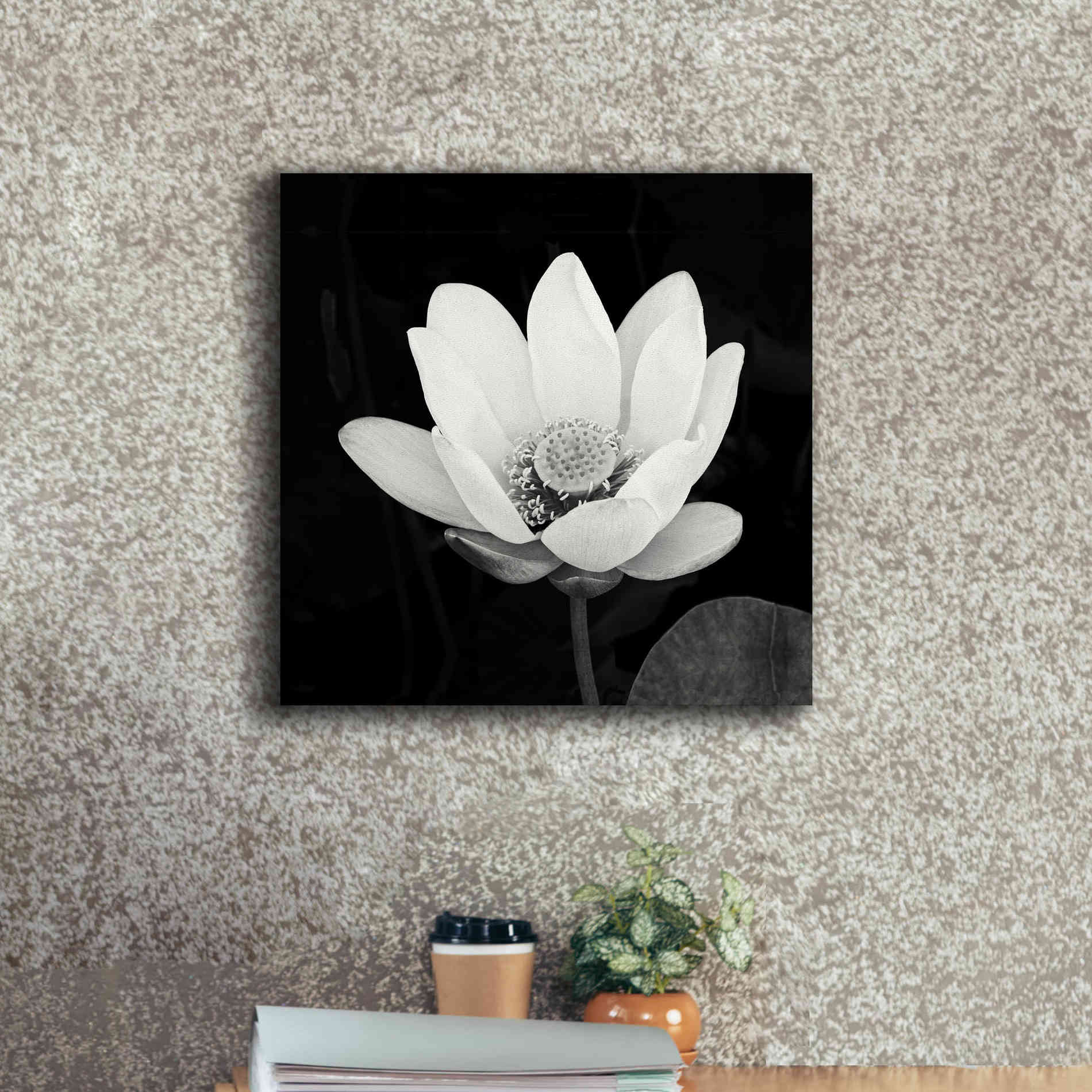 'Lotus Flower I' by Debra Van Swearingen, Canvas Wall Art,18 x 18