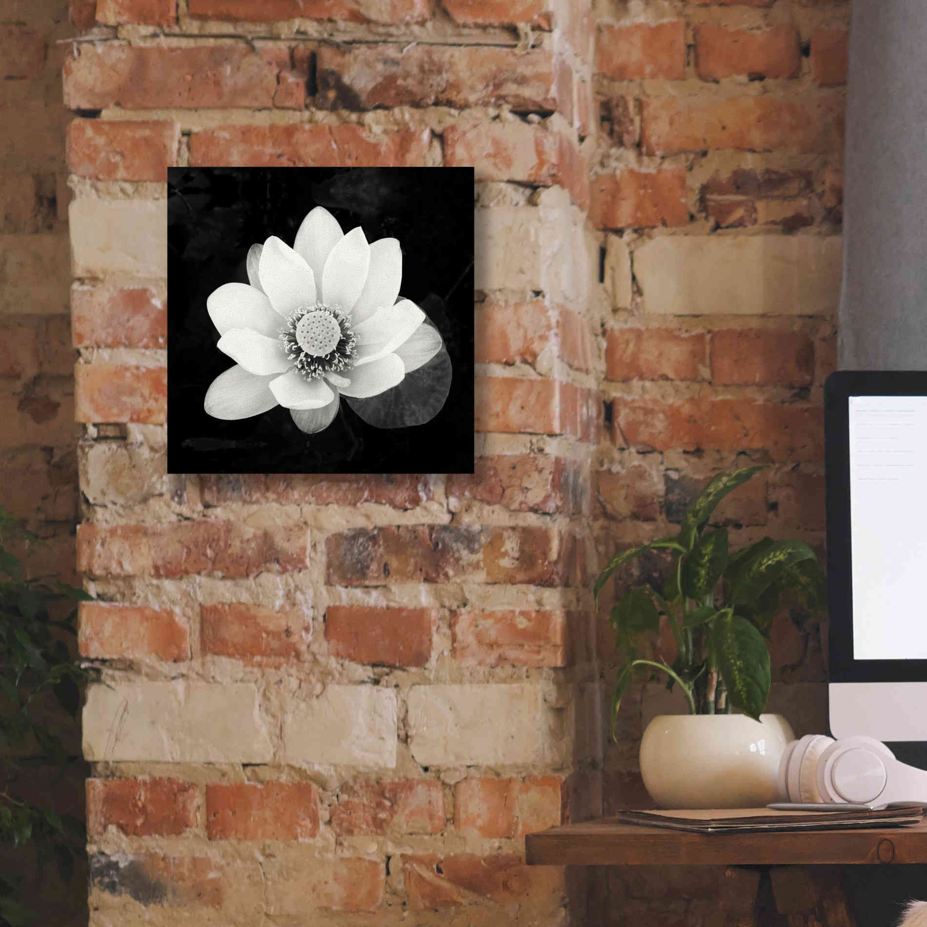 'Lotus Flower II' by Debra Van Swearingen, Canvas Wall Art,12 x 12