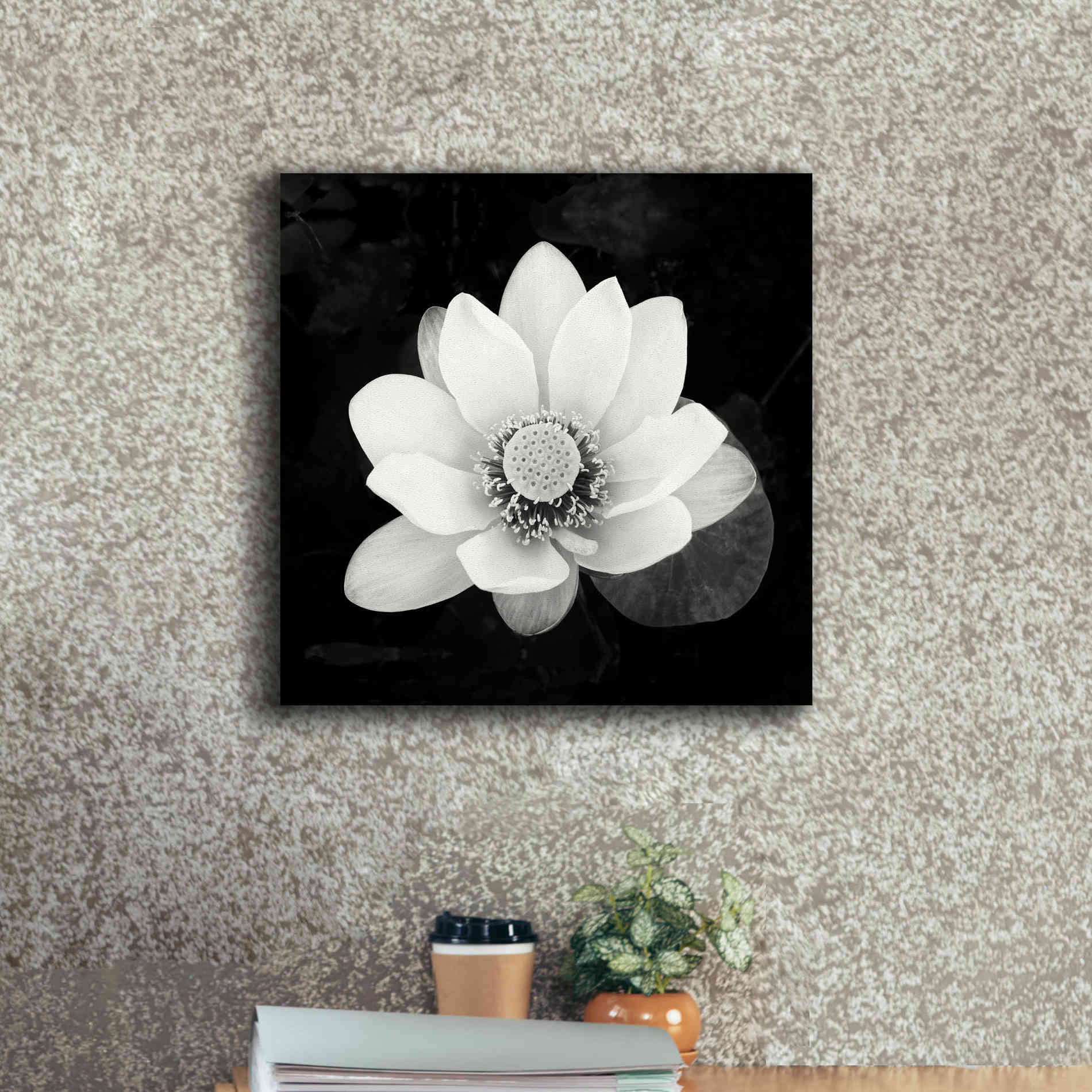 'Lotus Flower II' by Debra Van Swearingen, Canvas Wall Art,18 x 18