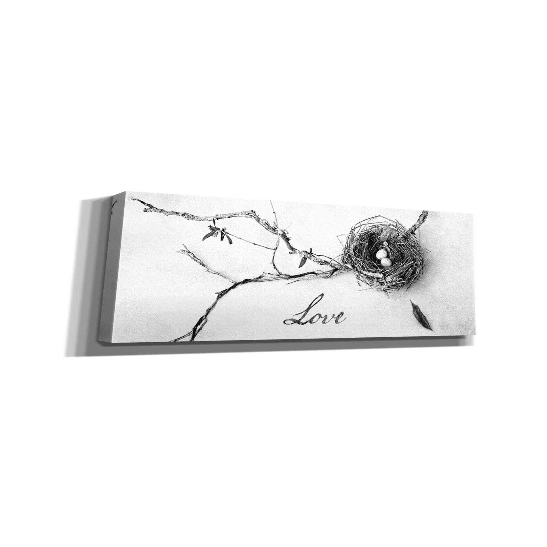 'Nest and Branch Love' by Debra Van Swearingen, Canvas Wall Art,36x12x1.74x0,60x20x1.74x0