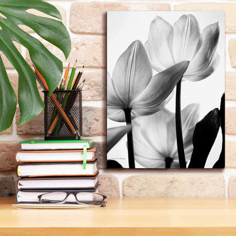 Image of 'Translucent Tulips III' by Debra Van Swearingen, Canvas Wall Art,12 x 16