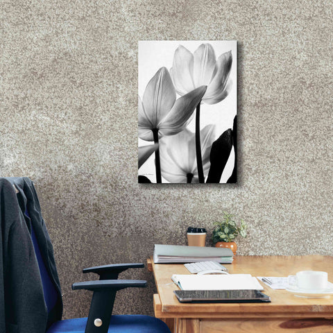 Image of 'Translucent Tulips III' by Debra Van Swearingen, Canvas Wall Art,18 x 26