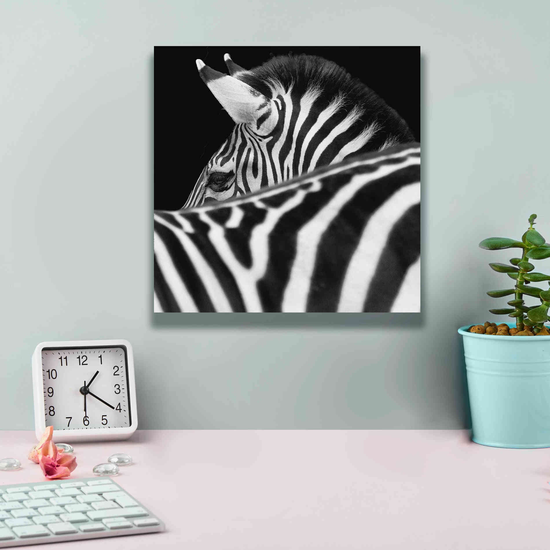 'Zebra III' by Debra Van Swearingen, Canvas Wall Art,12 x 12