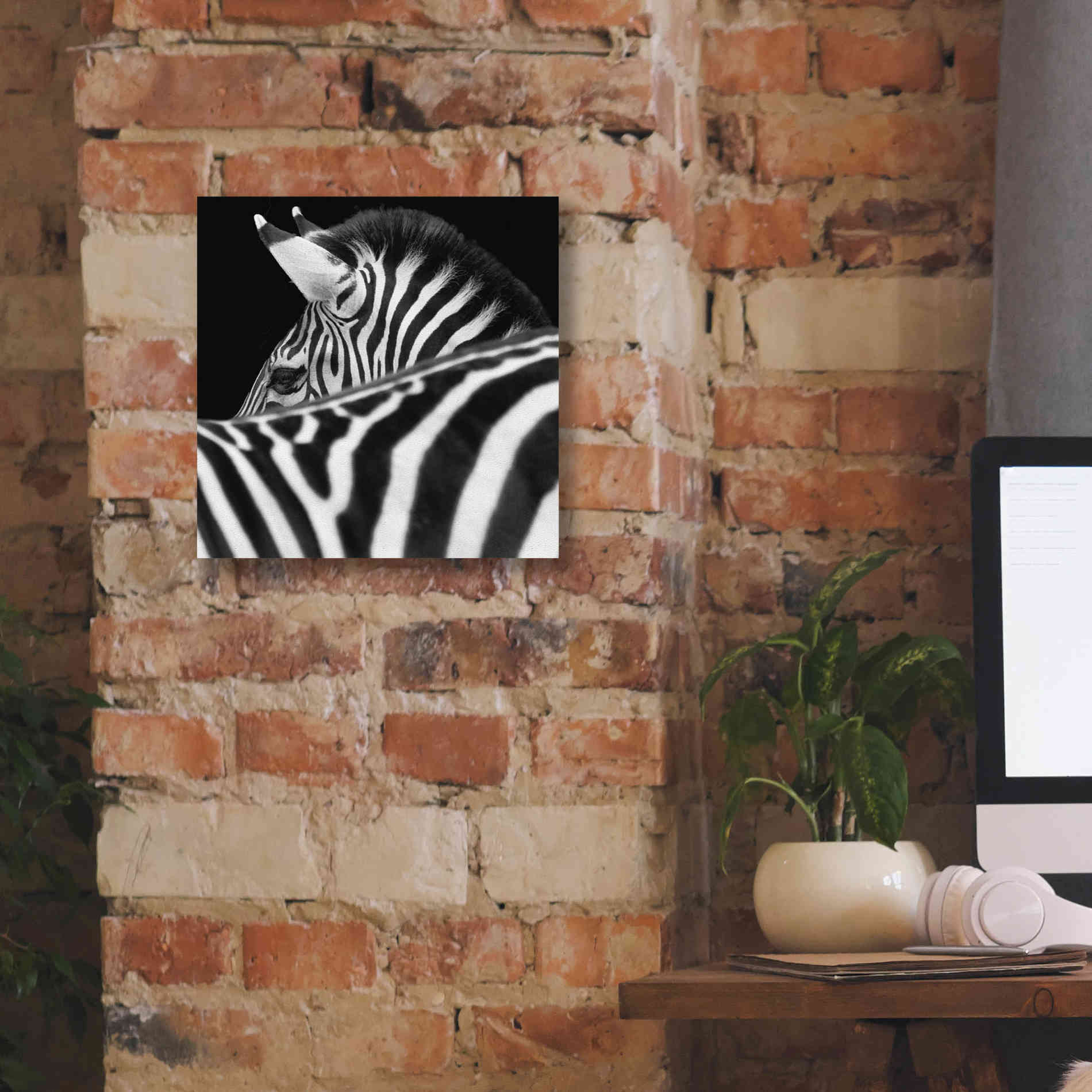 'Zebra III' by Debra Van Swearingen, Canvas Wall Art,12 x 12