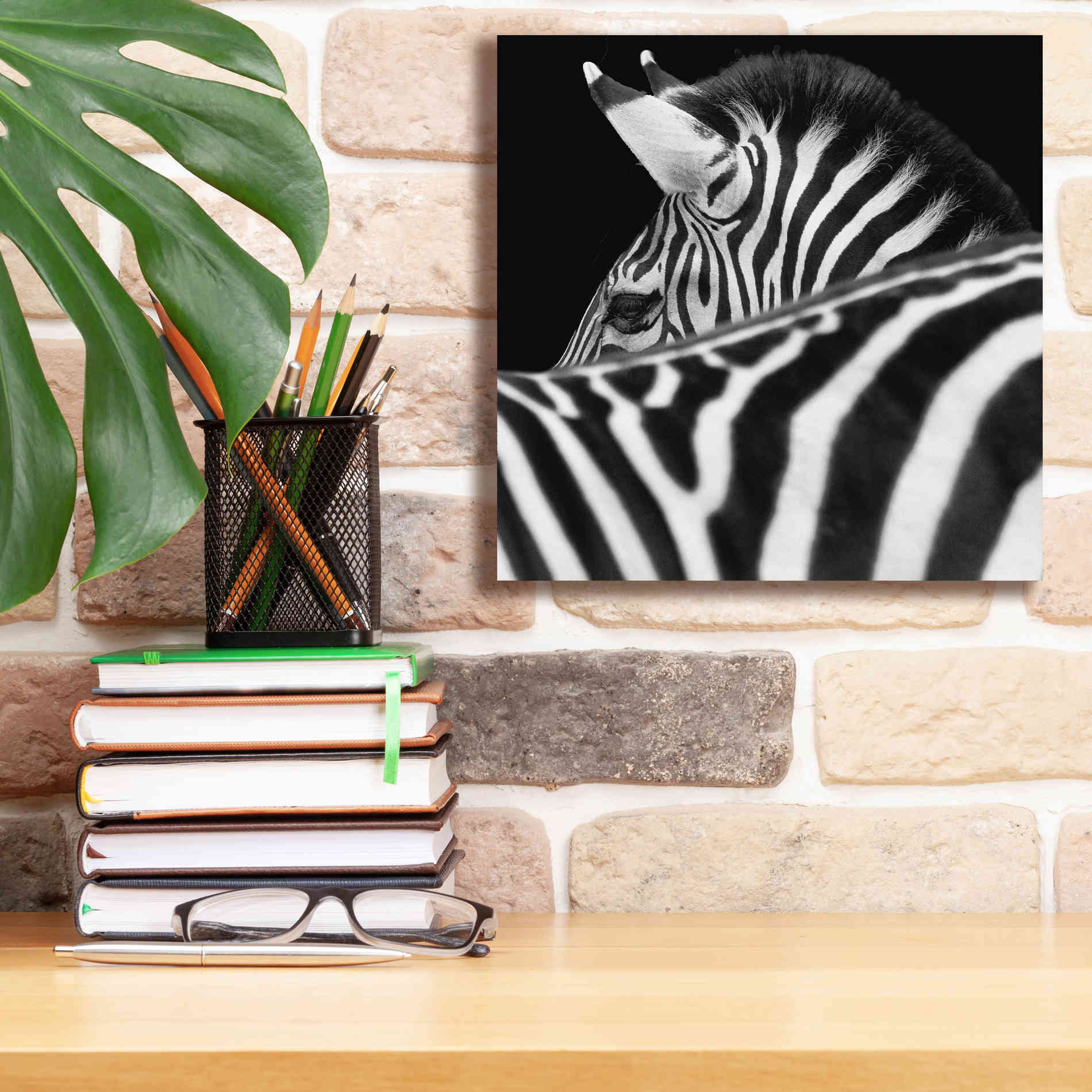 'Zebra III' by Debra Van Swearingen, Canvas Wall Art,12 x 12