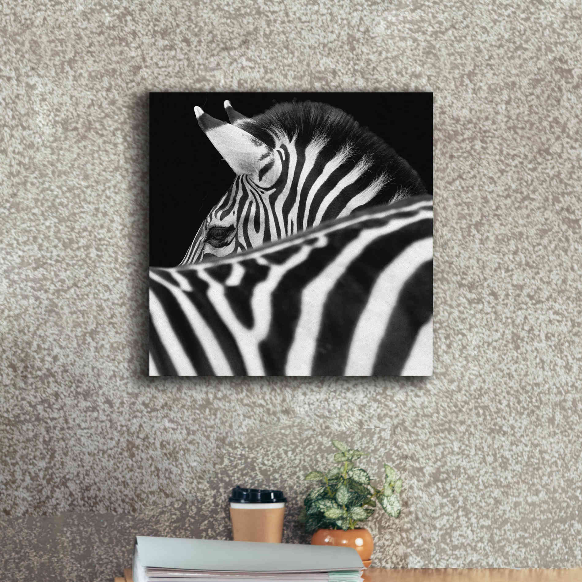 'Zebra III' by Debra Van Swearingen, Canvas Wall Art,18 x 18