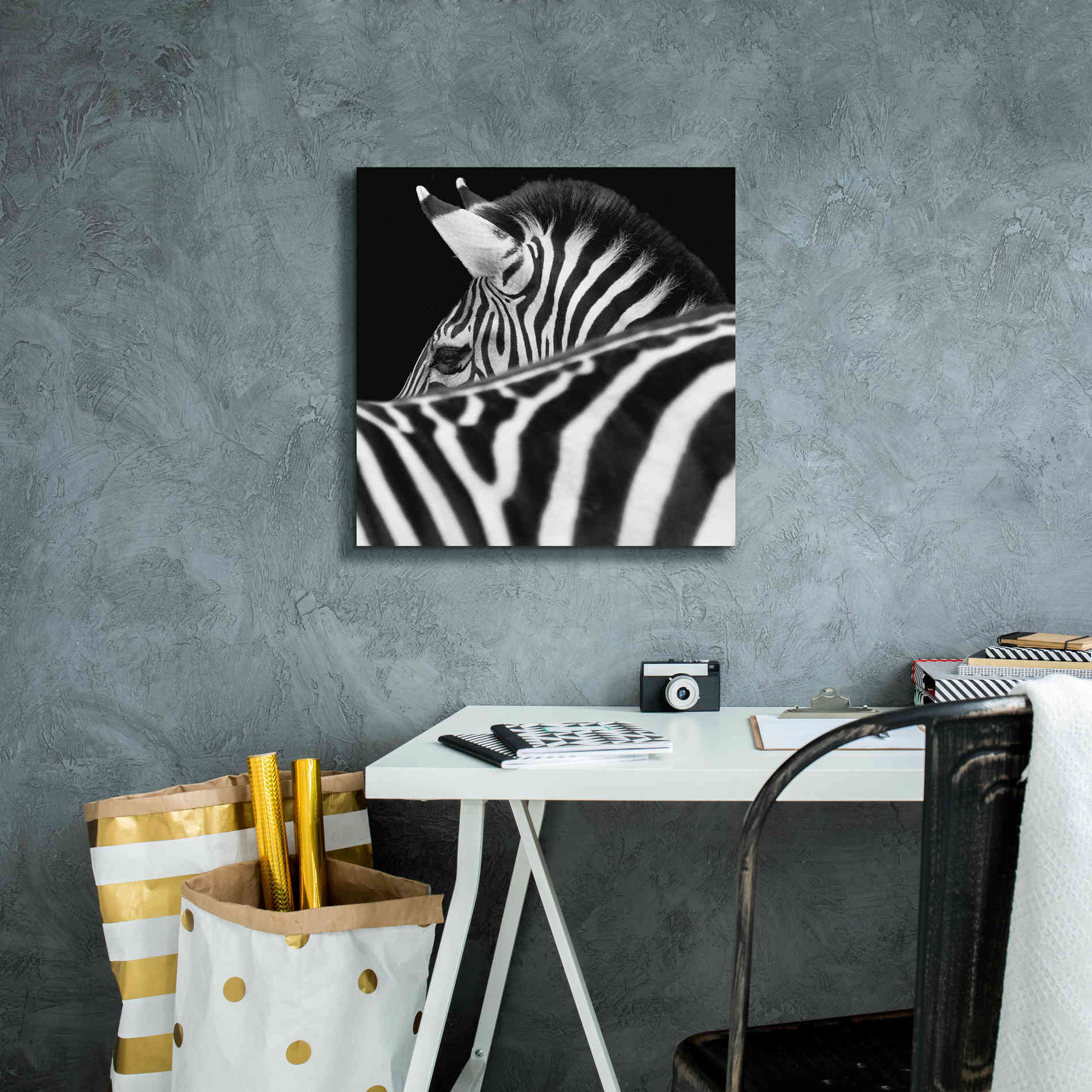 'Zebra III' by Debra Van Swearingen, Canvas Wall Art,18 x 18