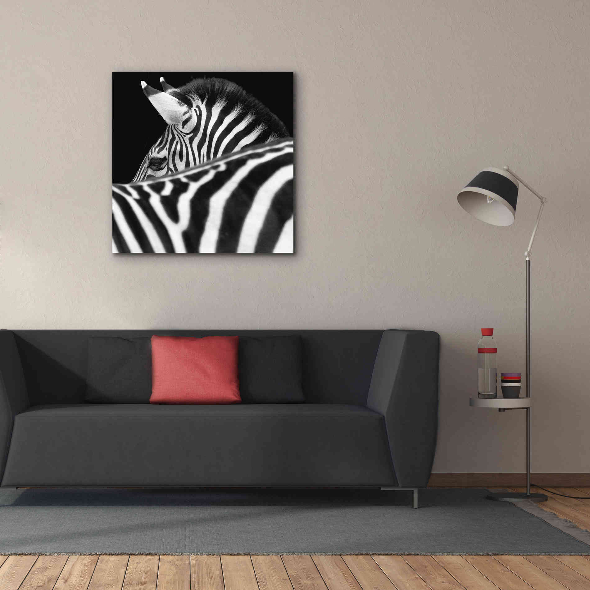 'Zebra III' by Debra Van Swearingen, Canvas Wall Art,37 x 37