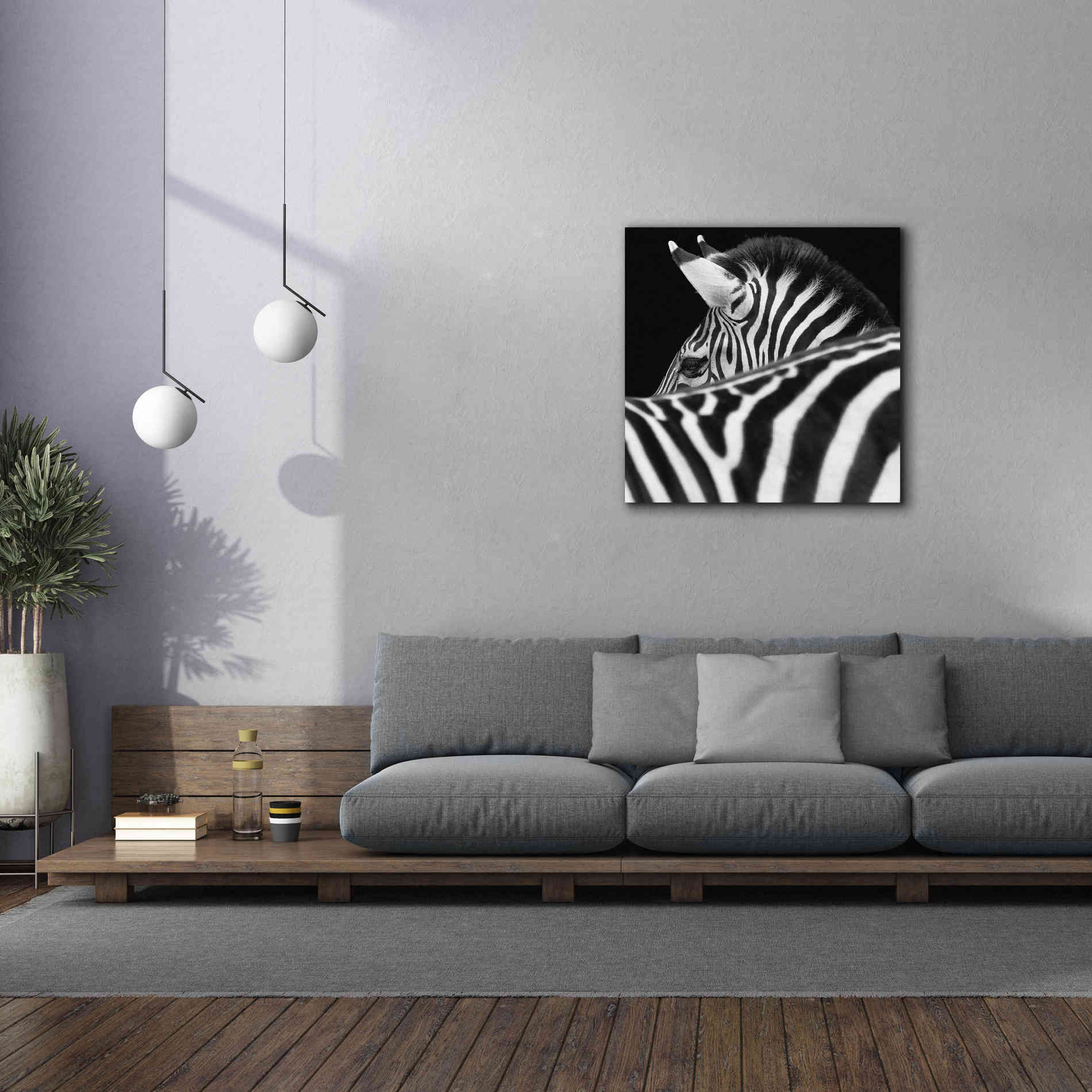 'Zebra III' by Debra Van Swearingen, Canvas Wall Art,37 x 37