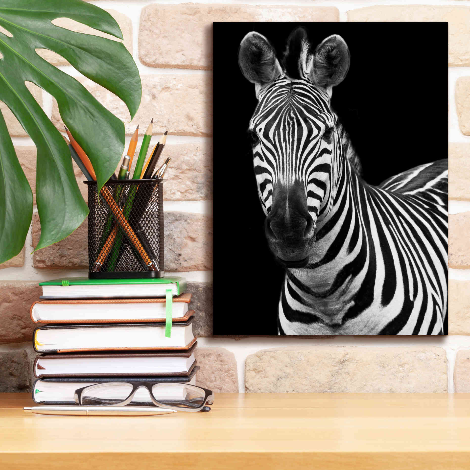 'Zebra II' by Debra Van Swearingen, Canvas Wall Art,12 x 16