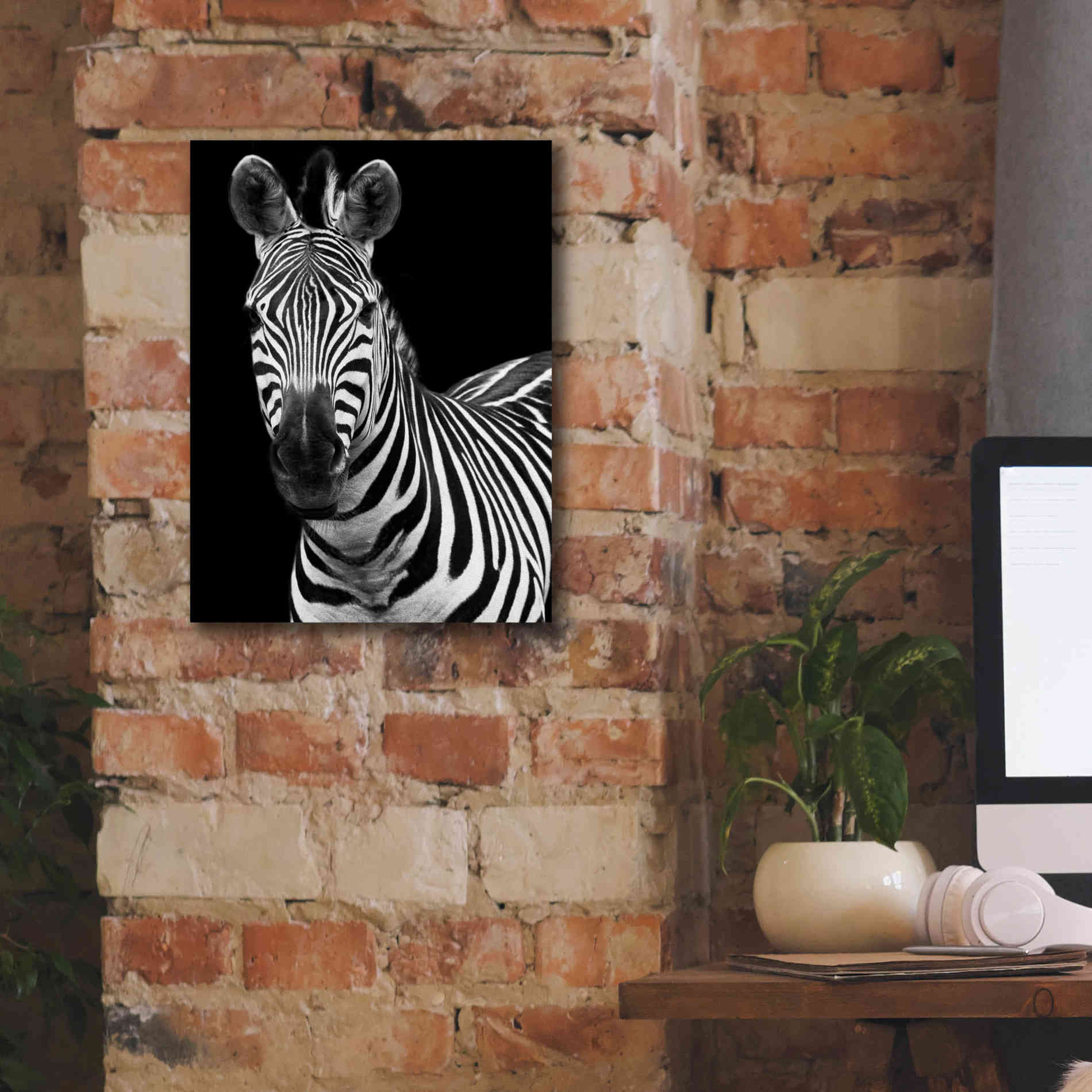 'Zebra II' by Debra Van Swearingen, Canvas Wall Art,12 x 16