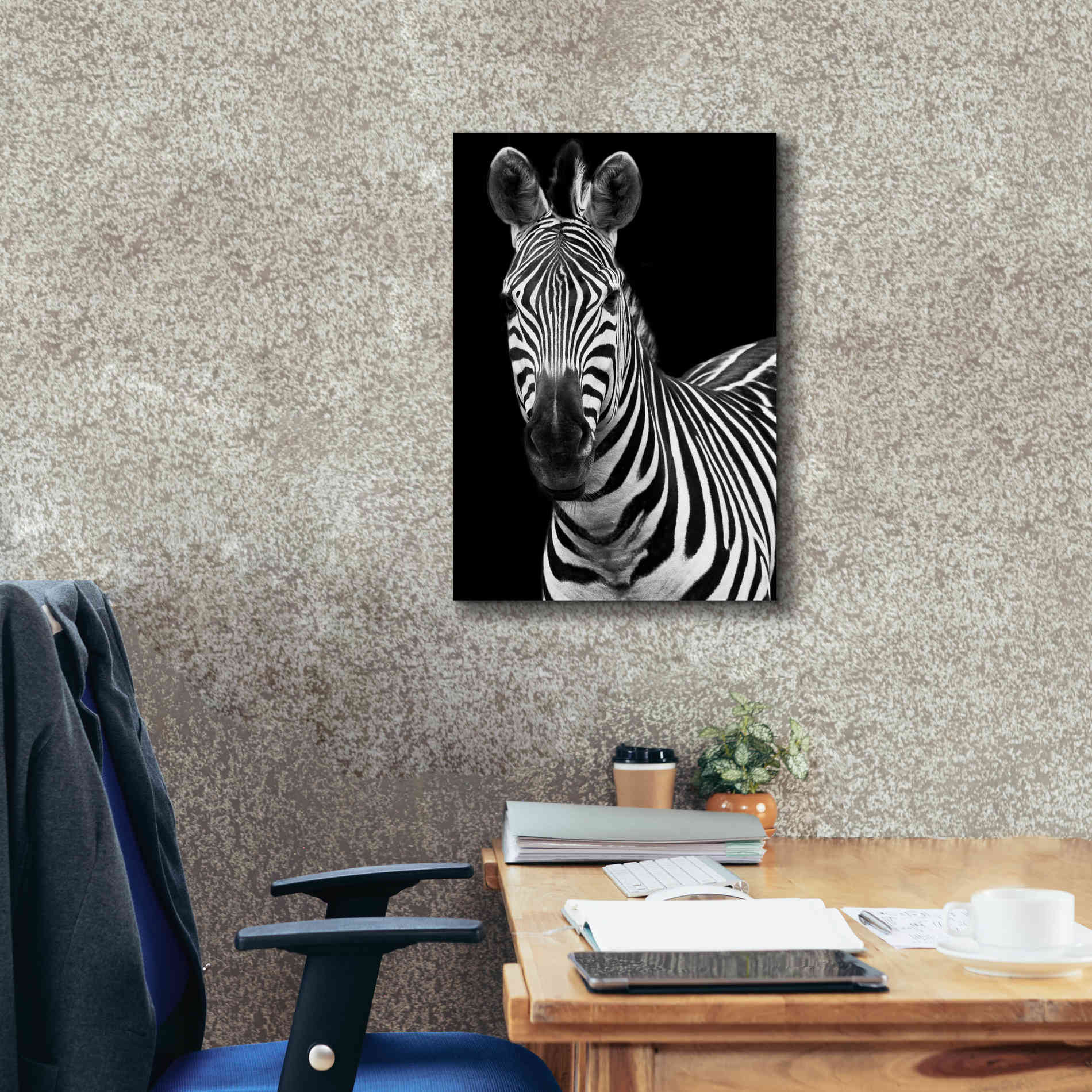 'Zebra II' by Debra Van Swearingen, Canvas Wall Art,18 x 26