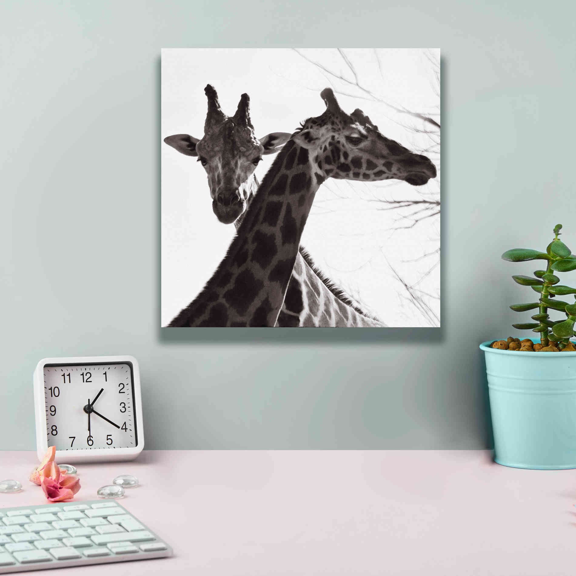 'Giraffe II' by Debra Van Swearingen, Canvas Wall Art,12 x 12