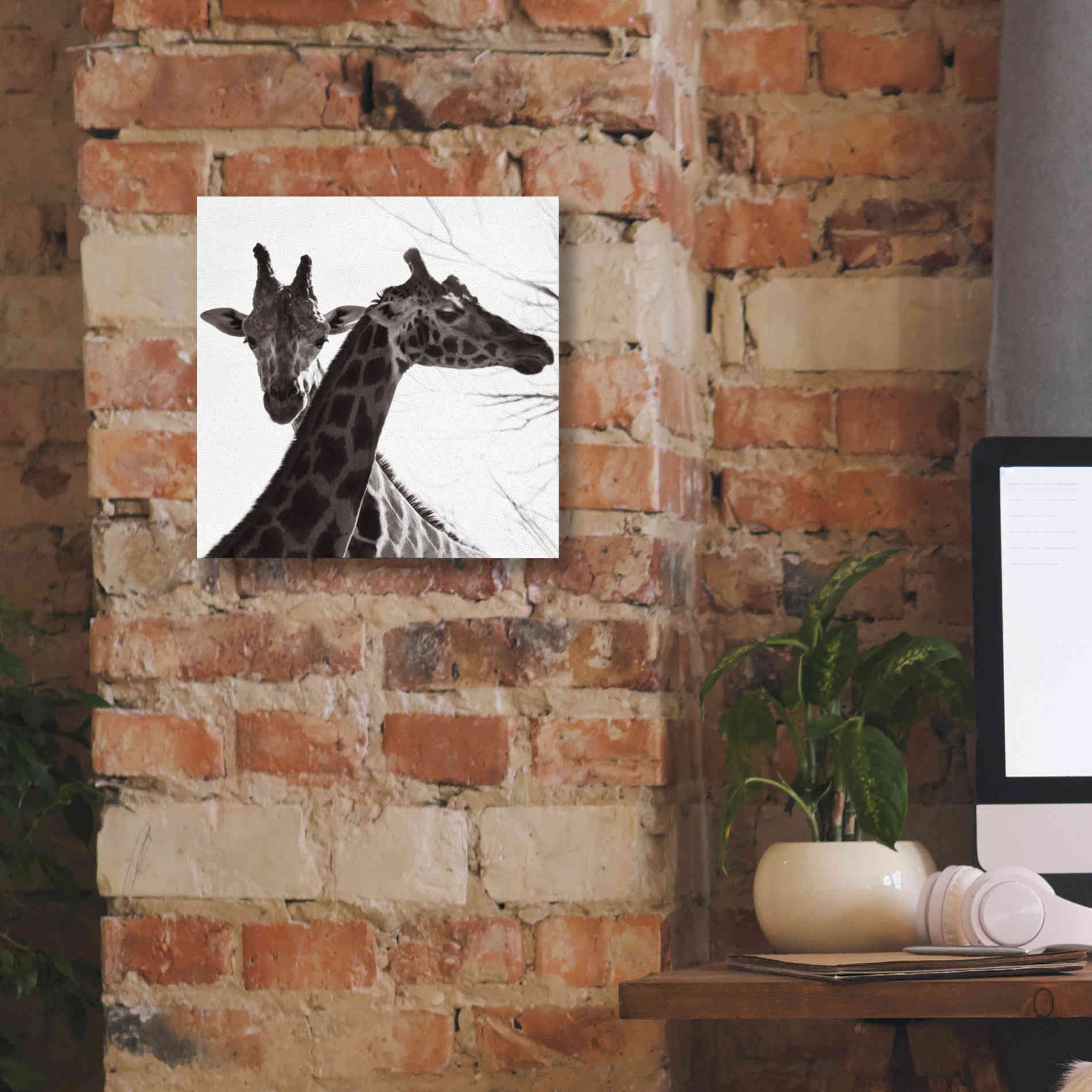 'Giraffe II' by Debra Van Swearingen, Canvas Wall Art,12 x 12