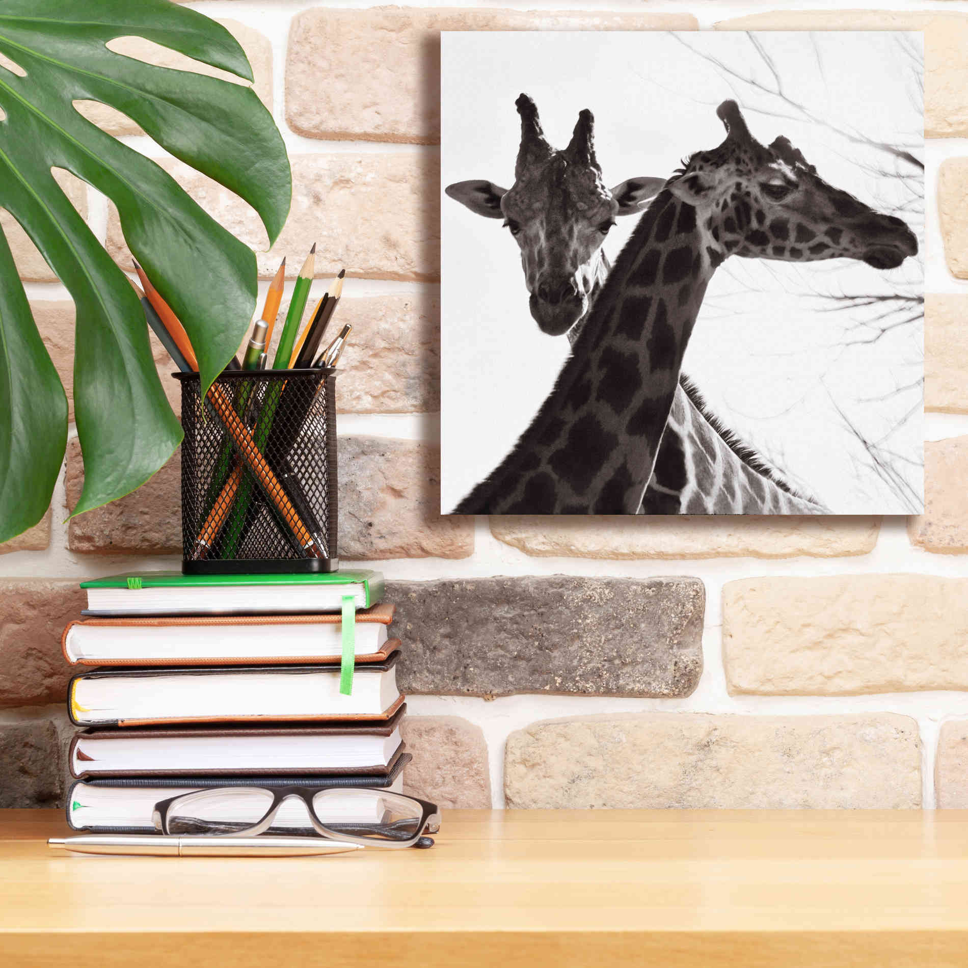 'Giraffe II' by Debra Van Swearingen, Canvas Wall Art,12 x 12