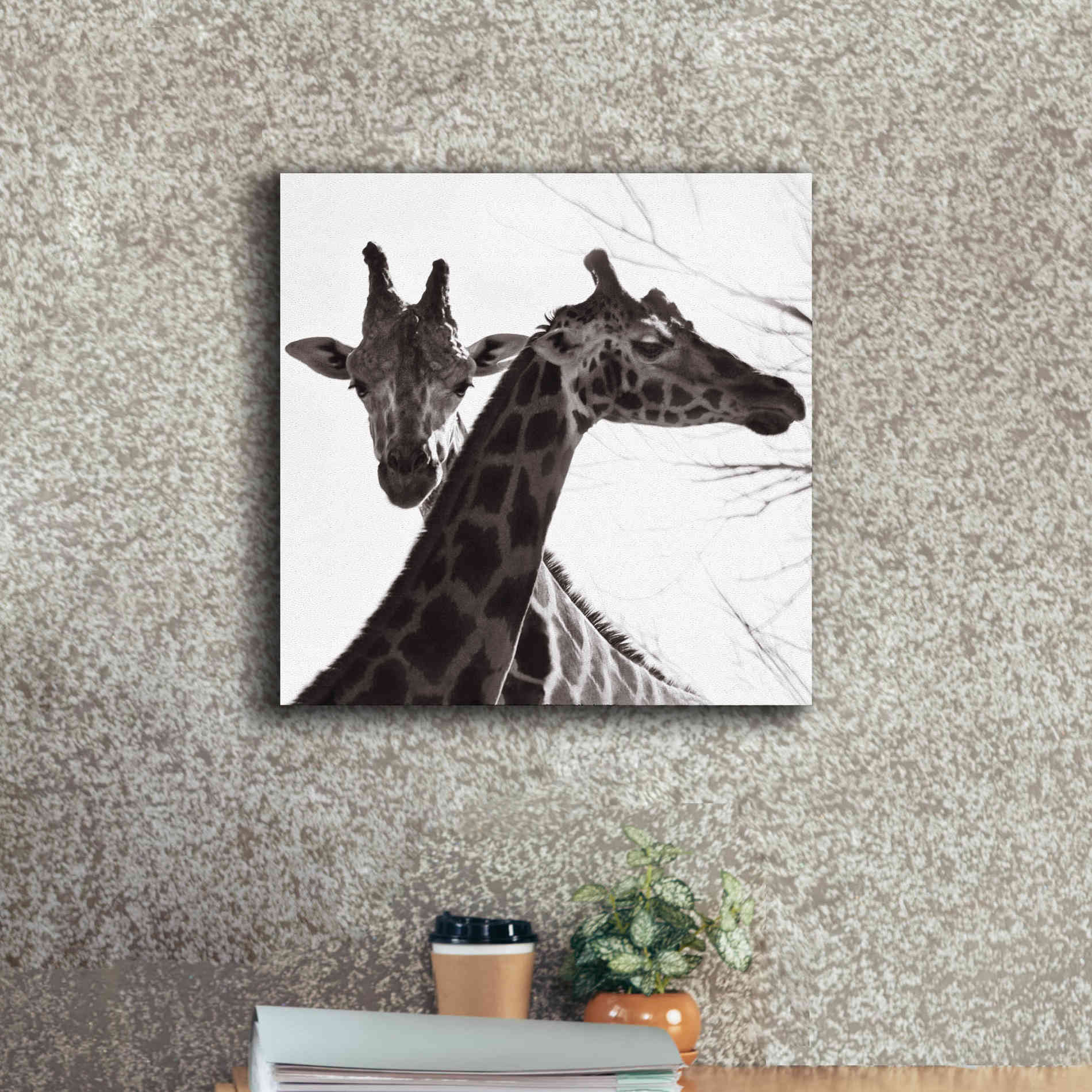'Giraffe II' by Debra Van Swearingen, Canvas Wall Art,18 x 18