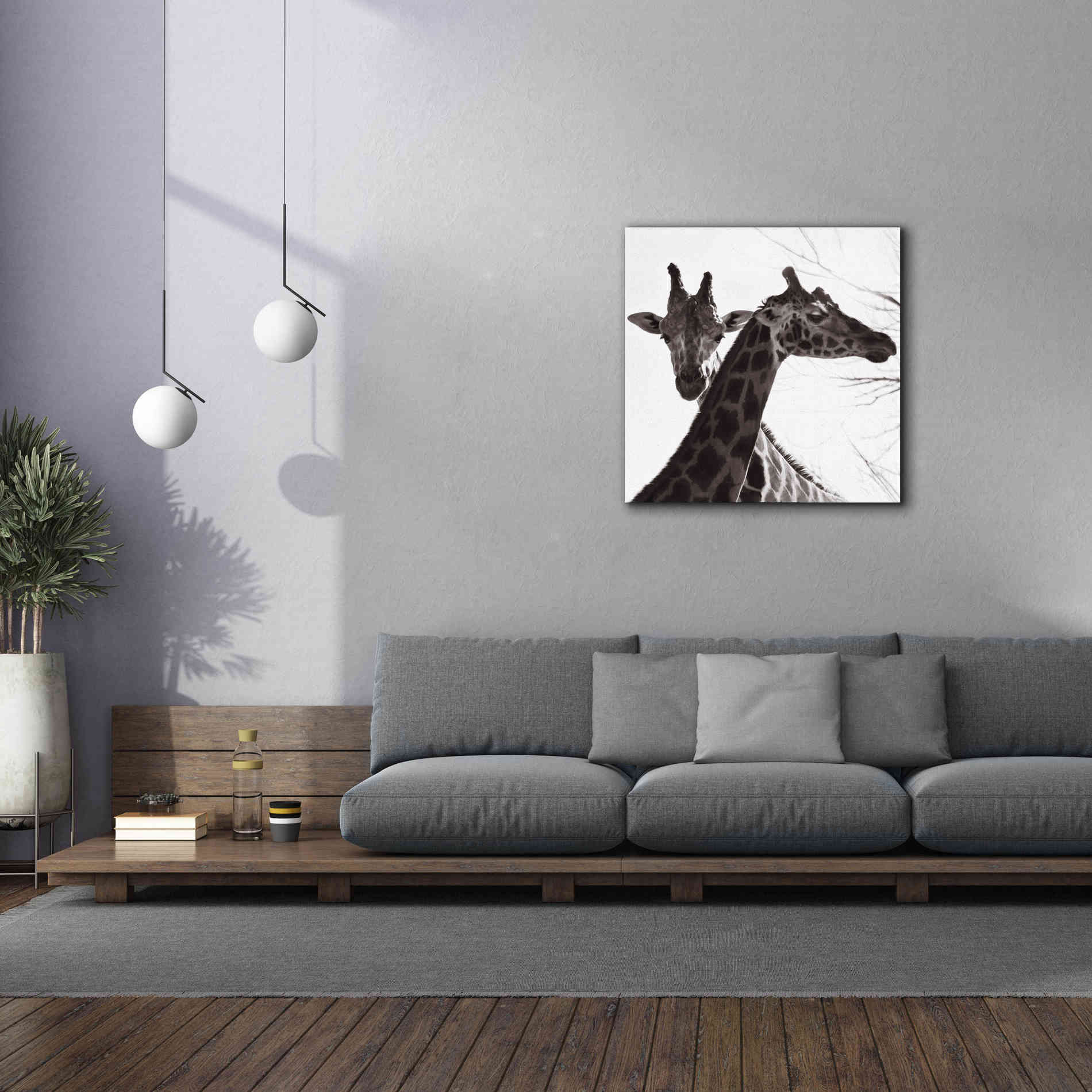 'Giraffe II' by Debra Van Swearingen, Canvas Wall Art,37 x 37