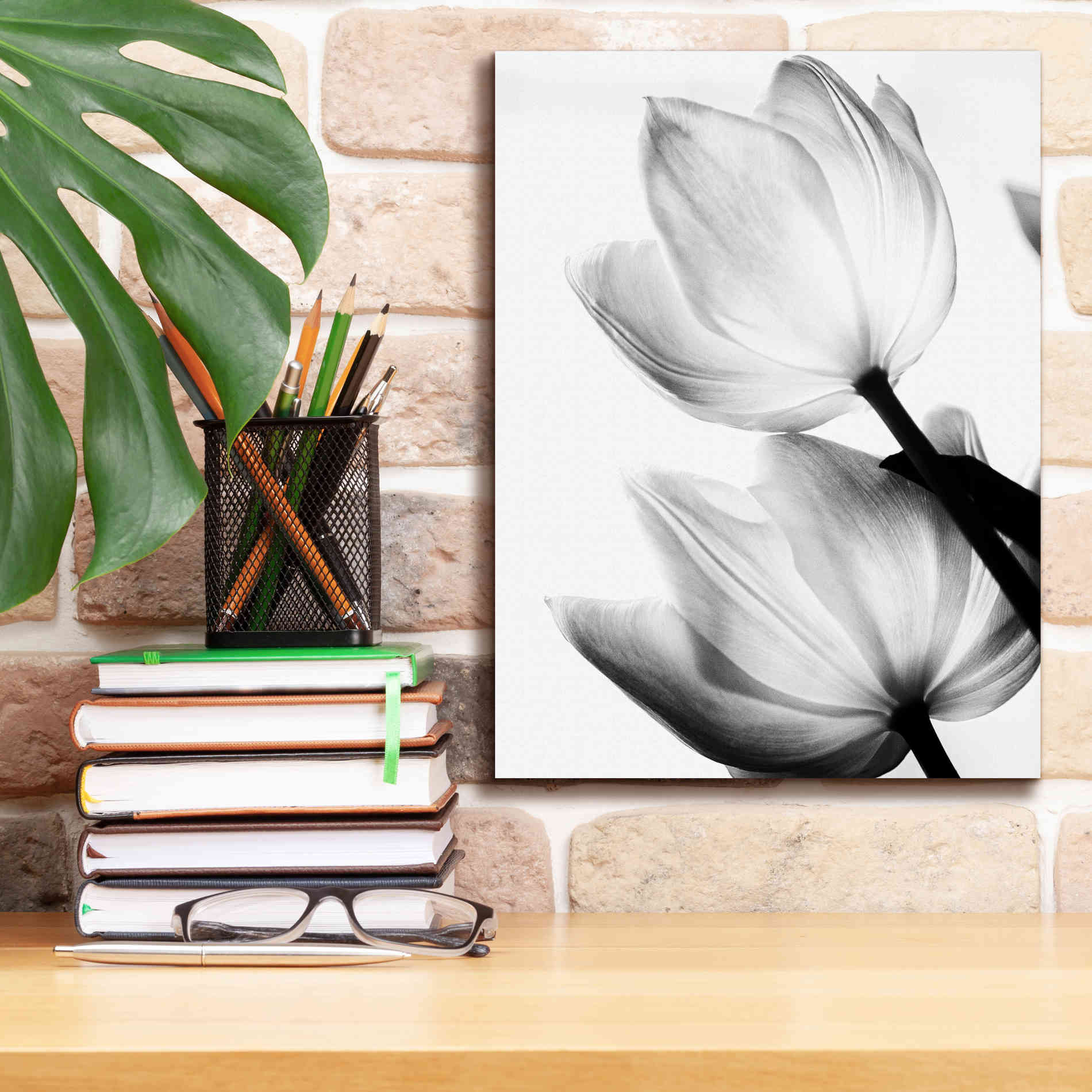'Translucent Tulips II' by Debra Van Swearingen, Canvas Wall Art,12 x 16