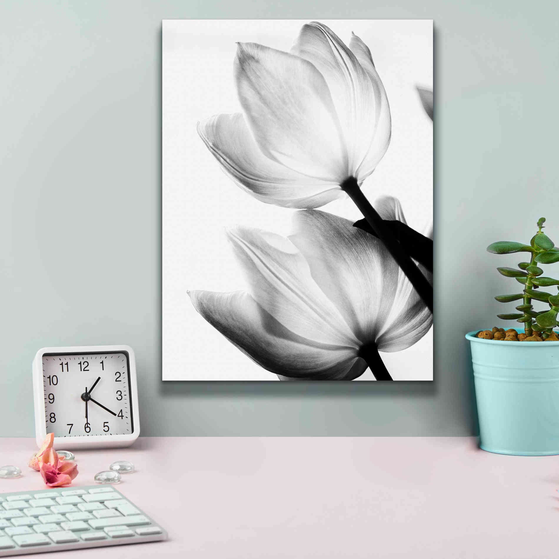 'Translucent Tulips II' by Debra Van Swearingen, Canvas Wall Art,12 x 16