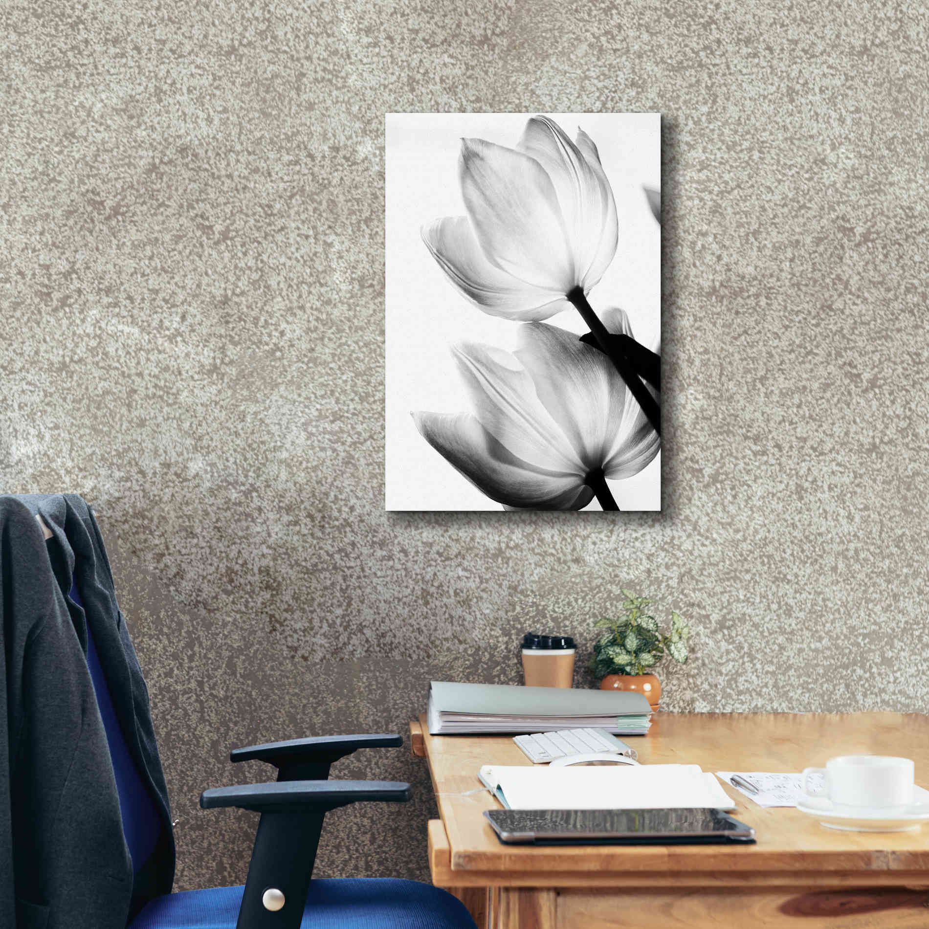 'Translucent Tulips II' by Debra Van Swearingen, Canvas Wall Art,18 x 26