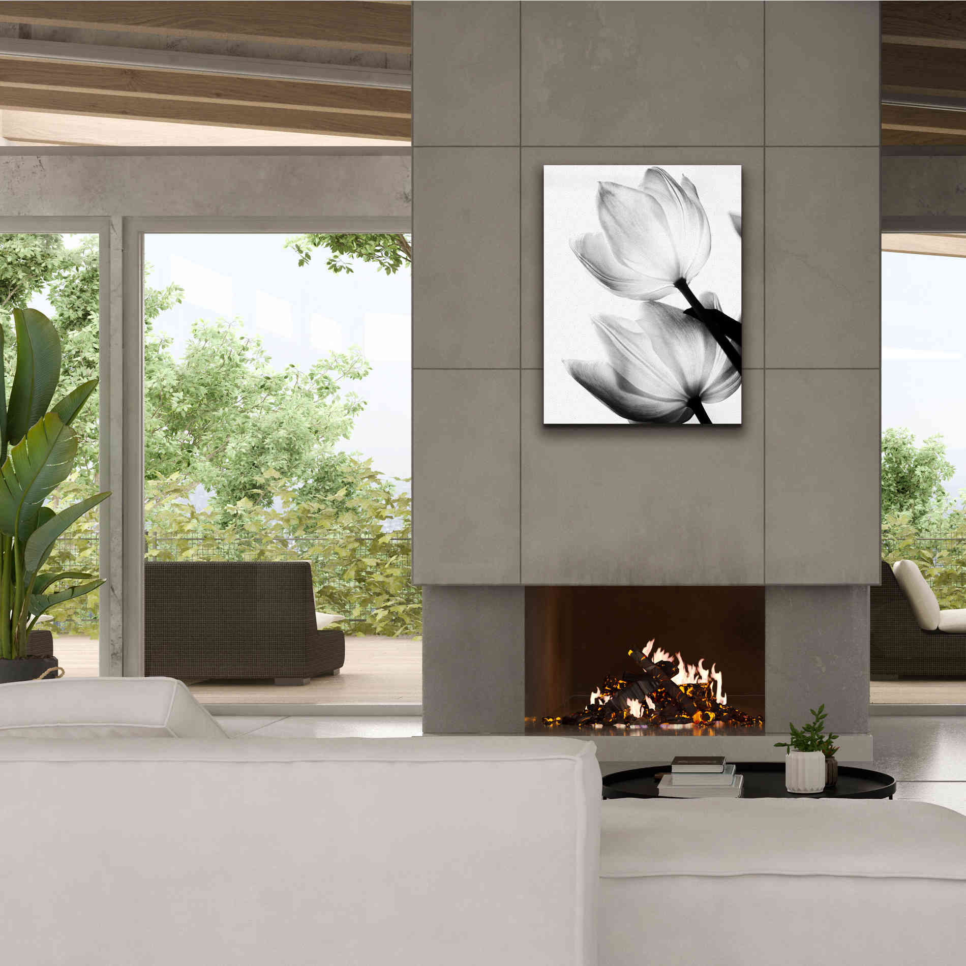 'Translucent Tulips II' by Debra Van Swearingen, Canvas Wall Art,26 x 34