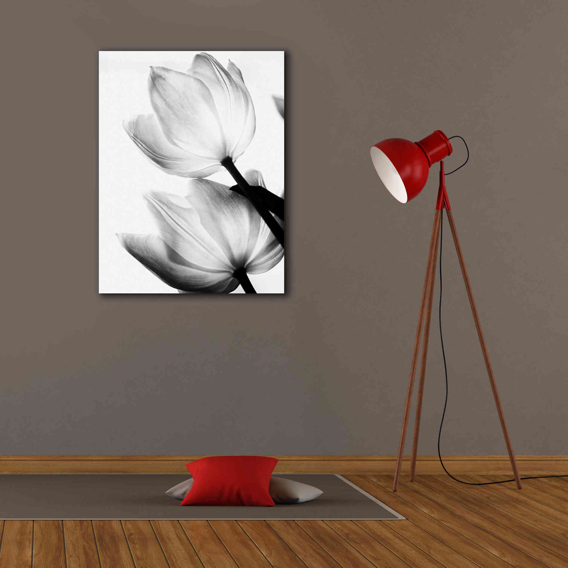 'Translucent Tulips II' by Debra Van Swearingen, Canvas Wall Art,26 x 34