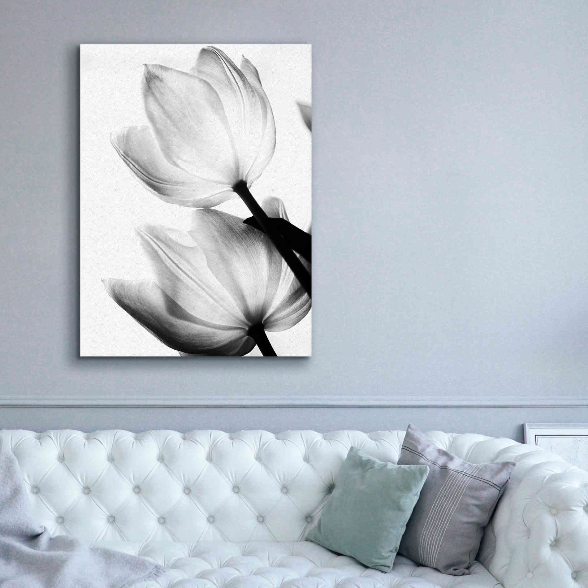 'Translucent Tulips II' by Debra Van Swearingen, Canvas Wall Art,40 x 54