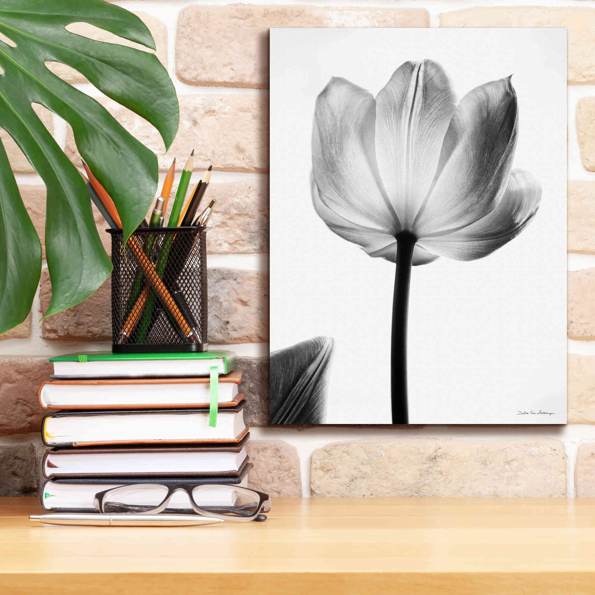 'Translucent Tulips I' by Debra Van Swearingen, Canvas Wall Art,12 x 16