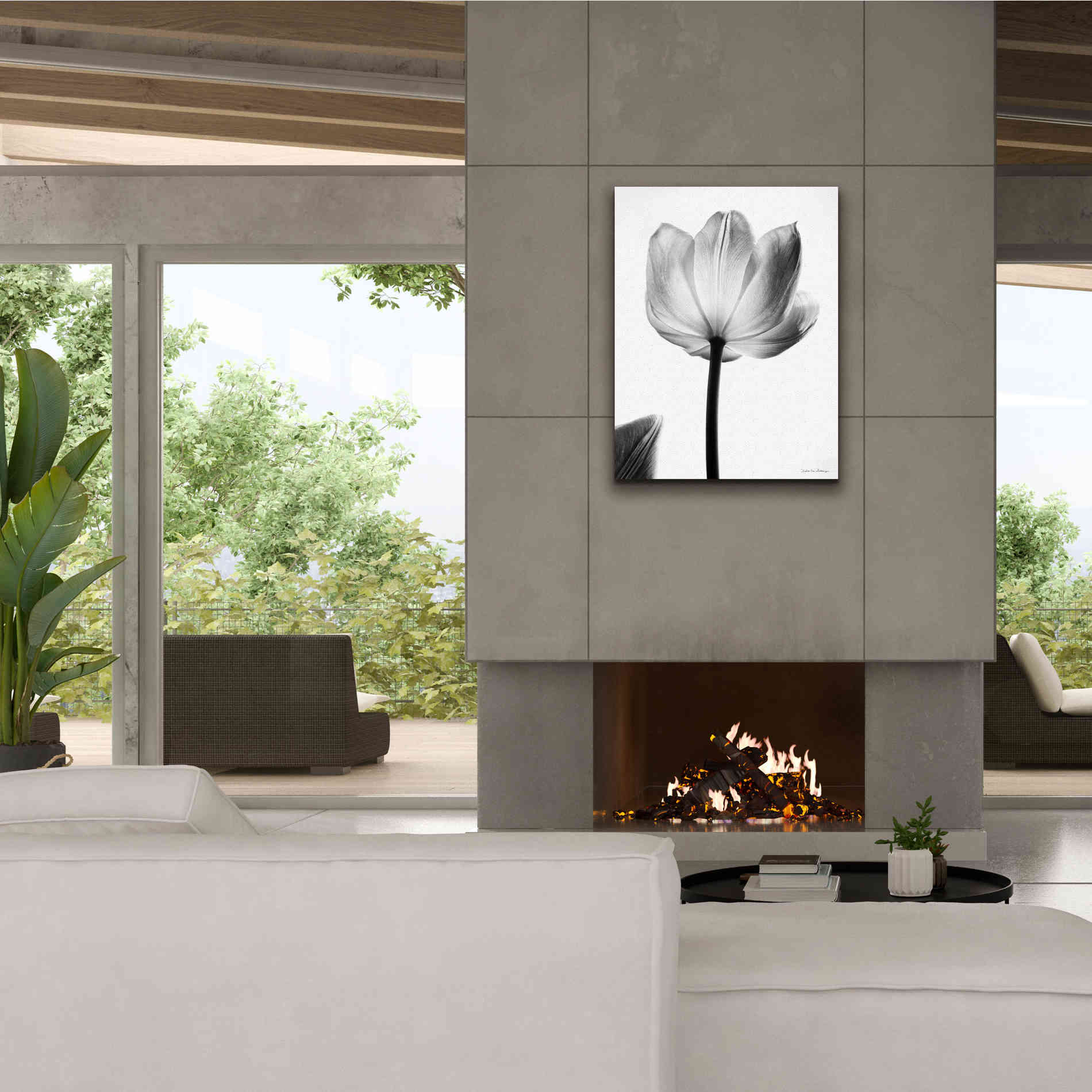 'Translucent Tulips I' by Debra Van Swearingen, Canvas Wall Art,26 x 34