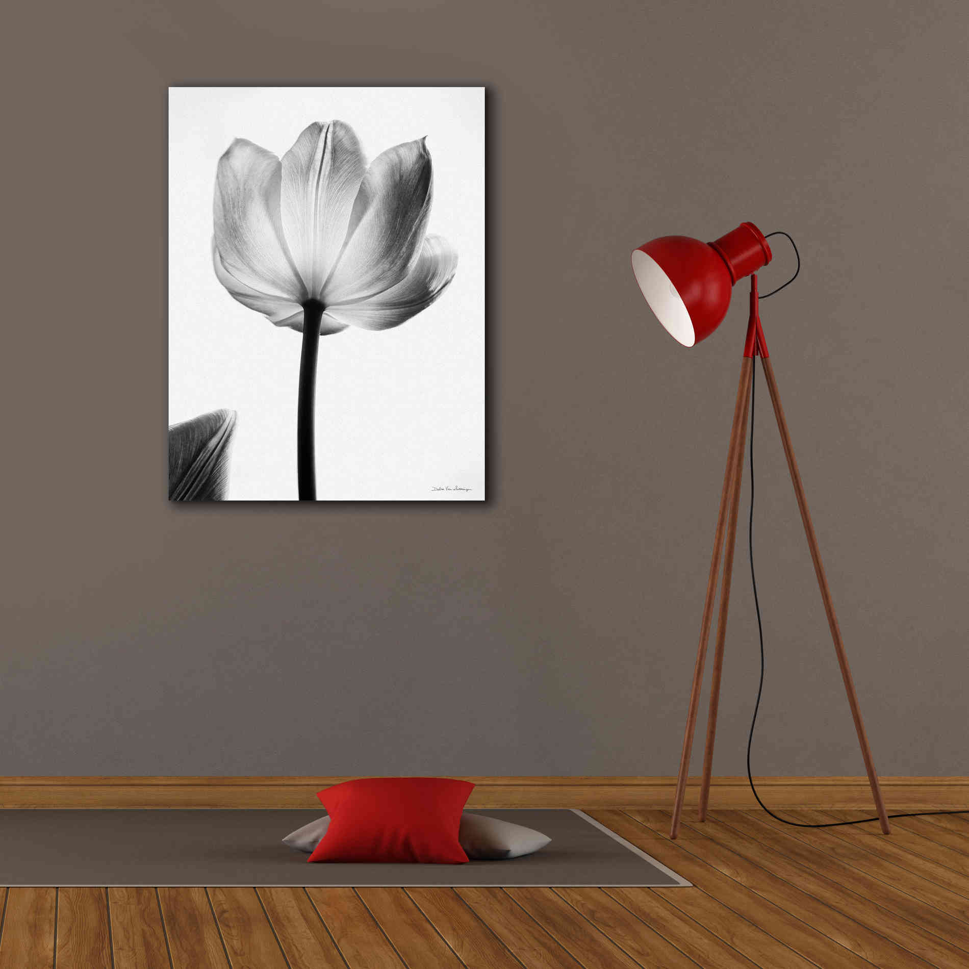 'Translucent Tulips I' by Debra Van Swearingen, Canvas Wall Art,26 x 34