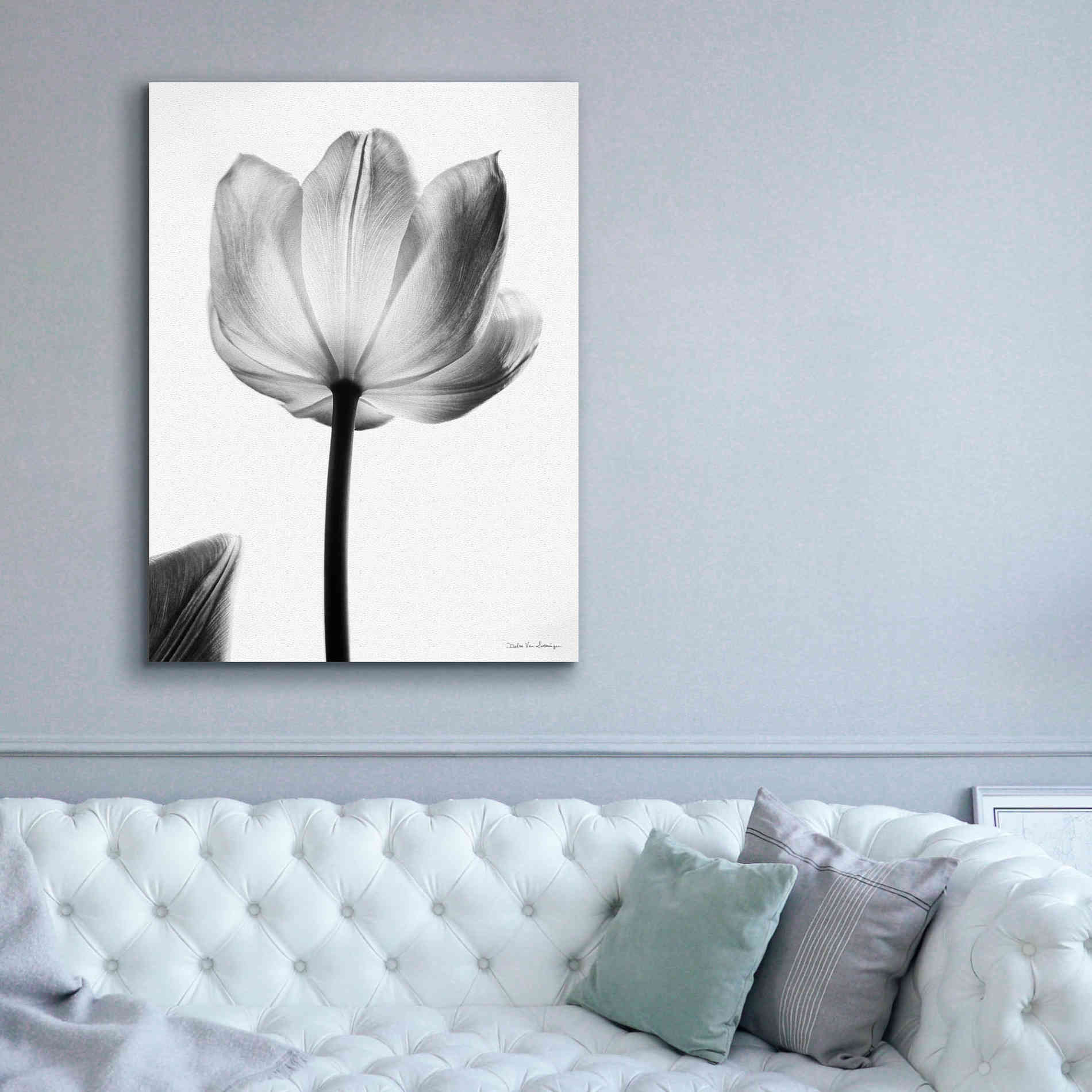 'Translucent Tulips I' by Debra Van Swearingen, Canvas Wall Art,40 x 54